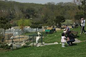 Polonezkoy Hayvanat Bahcesi Ve Dogal Yasam Parki Polonezkoy Zoo Istanbul 2021 All You Need To Know Before You Go With Photos Tripadvisor