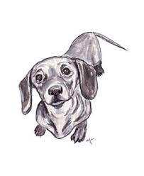 Black And White Dachshund Drawing Dachshund Sketch Dachshund Drawing Dachshund Sketch Dachshund