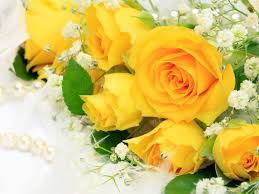 Choose from plump red roses, elegant calla lilies, colourful gerberas or a selection of breathtaking mixed bouquets. A Bouquet Of Yellow Roses Free Wallpapers