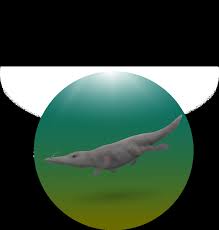 Humpback and camel back are semantically related. Https Www Firmm Org Files Download Firmm Kids En Pdf