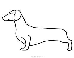 They're smart, loyal and very playful. Dachshund Coloring Page Ultra Coloring Pages