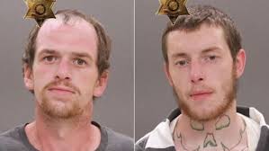 Deputies: More than 170 bags of heroin, cocaine found during I-390 traffic  stop