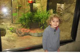 Hours, address, rainforest adventures reviews: Should You Visit The Rainforest Adventures Discovery Zoo In Tennessee