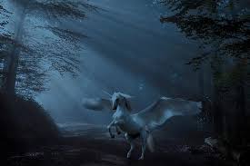يُعَدّ وحيد القرن السومطري أحد الثدييات الضَّخمة، غير أنه أصغر أنواع الكركدنيات، إذ يبلغ ارتفاعه عند الكتف ما يتراوح من 112 إلى. Ø®ÙŠØ§Ù„ ØºØ§Ø¨Ø© ÙˆØ­ÙŠØ¯ Ø§Ù„Ù‚Ø±Ù† ØµÙˆÙÙŠ Ø³Ø±ÙŠØ§Ù„ÙŠØ© Pikist