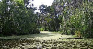 The Ultimate 3 Days In New Orleans Itinerary You Should Steal Follow Me Away In 2020 New Orleans New Orleans Travel Visit New Orleans