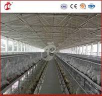 Bestchickencage China Layer Hen House Supplier OEM Customized Hot  Galvanized Surface Treatment a Type Layer Cage Configuration Chicken Coops  Hen ...