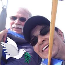 Where to find a male peacock for sale?