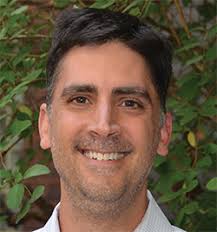 The gut-brain connection