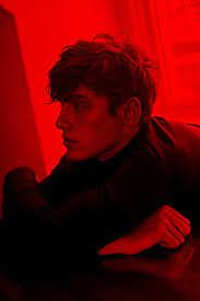 Vinyl, hoodies, tees, accessories, and more. Pin By Cate Hart On Phoenix From The Ashes Red Aesthetic Aesthetic Guys Red Guy