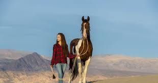 Keeping Horses In The Desert