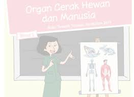 Jawaban buku tematik edisi revisi 2018 kelas 5 tema 8. Kunci Jawaban Pas Kelas 5 2020 Semester Ganjil Tema 1 Organ Gerak Hewan Dan Manusia Semangat Belajar