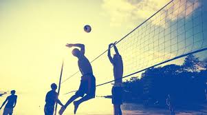 Baseado na brincadeira popular do telefone sem fio, aliado às mecânicas de desenho do gartic, nós da equipe lançamos um novo jogo: 11 Ideias De Voley Volei Volei Tumblr Esportes
