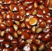 Chataignes Fraiches Gpe 2 Gaec De Samarie Vente Directe Producteur Saint Jean Chambre 07240