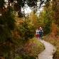 Sanctuary Guided Hike – Boreal Forests event in Baileys Harbor, WI