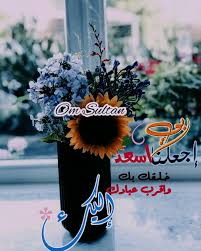 Pin By سلطان مزااليافعي On تصاميمي صور Lily