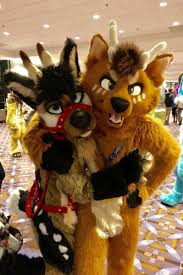Media Tweets By Kovi Kovideerdoge Twitter Fursuit Furry Furry Costume Fursuit