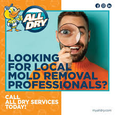 TOP 10 BEST Odor Removal in Geauga County, OH