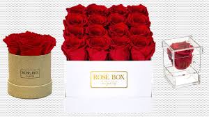 Maybe you would like to learn more about one of these? We Found The Longest Lasting Roses For Valentine S Day Cnn