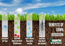 Aeration essentially breaks up the layers of soil, and helps the roots grow much deeper and stronger, therefore creating a lawn free of weeds and turf. Aeration Is The Grass Greener On The Other Side Superior Spray