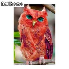 3d Diy Diamond Painting Red Owl Photo Craft Kit Pet Birds Animals Rare Animals