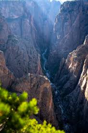 Image result for Chascanum