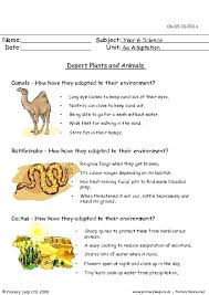 Camels do not live in the sahara. Desert Plants Animals Worksheet Animal Adaptations Worksheets Math Riddles Puzzles Free Printable Graph Paper Excel Commands Grade 9 Common Adaptation Middle School Sumnermuseumdc Org