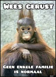 Wees Gerust Grappige Apen Schattige Babydieren Baby Orang Oetan