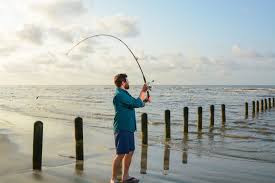 Please be aware you do need a fishing permit to park in the gravel lot even in the . Shore Fishing At Sea Rim State Park Visit Port Arthur Texas
