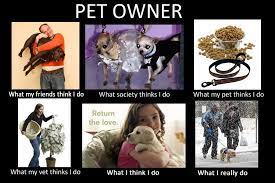 Life Of A Pet Owner Lol Cute Cats And Dogs I Love Dogs Crazy Dog Lady