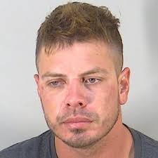 Suspect arrested after homeowner attacked and knocked to ground in his own  driveway