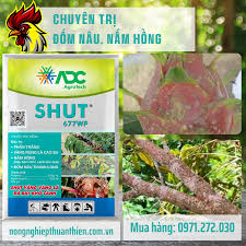 Shut 677WP