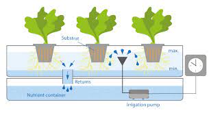 Water is pumped to the top of the channel system and flows via gravity and a very small slope back down to the sump tank. Hydroponic Various Hydroponics Systems
