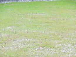 Image result for site:byggahus.se Algomin