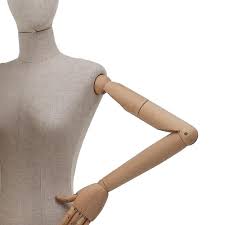 Male bones are bigger and stronger, in both size and density. Bones Female Torso Mannequin Stand Etc Gobizkorea Com