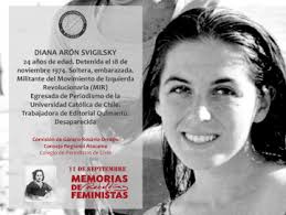En memoria de Diana Aarón decimos basta de apologías a la violencia