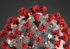 Un caso di febbre del topo o hantavirus è stato registrato in italia, in friuli venezia giulia, in un cittadino della slovenia. Il Coronavirus Arriva Nell Anno Del Topo Gia Facciamo I Conti Con Le Pesti Del Passato La Voce Di New York