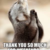 This week we thanked and posted pics of some of our volunteers. 25 Best Funny Thank You Memes Was Memes Very Memes Memeufacturing Memes