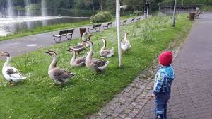 Die bewertungen des grünen reiseführers von michelin, praktische infos, karte und routenplanung für ihre reise nach saarbrücken. Deutsch Franzosischer Garten Saarbrucken Deutsch Franzosischer Garten Saarbrucken Reisebewertungen Tripadvisor