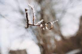 Wedding flower terminology, budget, tips and inspiration to help you make those pesky floral decisions. Winter Wedding Rings On Snowy Tree Branch Danversport Weddings