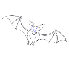 How To Draw A Bat In A Few Easy Steps Easy Drawing Guides 569 x 345 jpeg 17 кб. how to draw a bat in a few easy steps