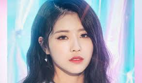 She is a member of the . Drunk Male Fans Yell At Lovelyz Mijoo Kpopmap