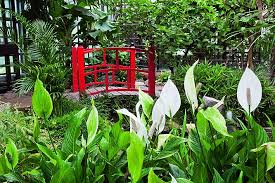 4.7 stern(e) von 13 bewertungen. Garten Der Schmetterlinge Im Furstlichen Schlosspark Sayn Castlewelt