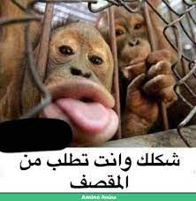 تألقت النجمة أصالة نصري بإطلالة ذهبية ساحرة وأنيقة خلال حفل زفاف خاصّ أحيته في المملكة العربية السعودية ، فبدت في قمة جمالها وظهرت أصغر سنًا وأكثر حيوية. Ø§ÙƒØ«Ø± ØµÙˆØ±Ù‡ Ù…Ø¶Ø­ÙƒÙ‡
