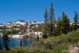 Find & reserve the best campsites near graeagle, california. Camping Rv Parks Lost Sierra Chamber