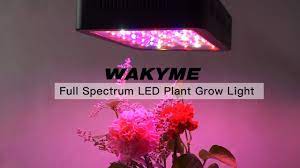 It is perfect for people who grow a wide range of indoor flowers and plants. Wakyme 600w Plant Light Youtube