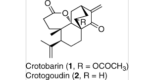 Image result for Ptycholobium contortum