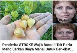 Mulutku terus menciumi buah dadanya, pipinya, bibirnya, lehernya, sambil tanganku terus bergerilya membelai. Tavac Malaysia Buah Letup Kelambu Cabut Sepokok Basuh Facebook