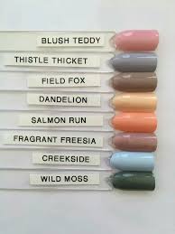 New Summit Colors Distribution Inc Cnd