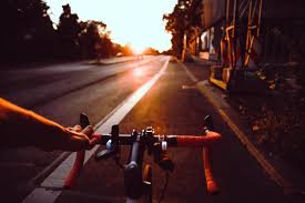 You'll need either an axe ( not a stone axe) or a shovel and some fruit to do so. Cycling And The Law Bike Laws Across Australia Insider Guides