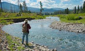 Debating getting the montana fishing license or just a yellowstone license. Red Lodge Montana Fishing Fly Fishing Alltrips